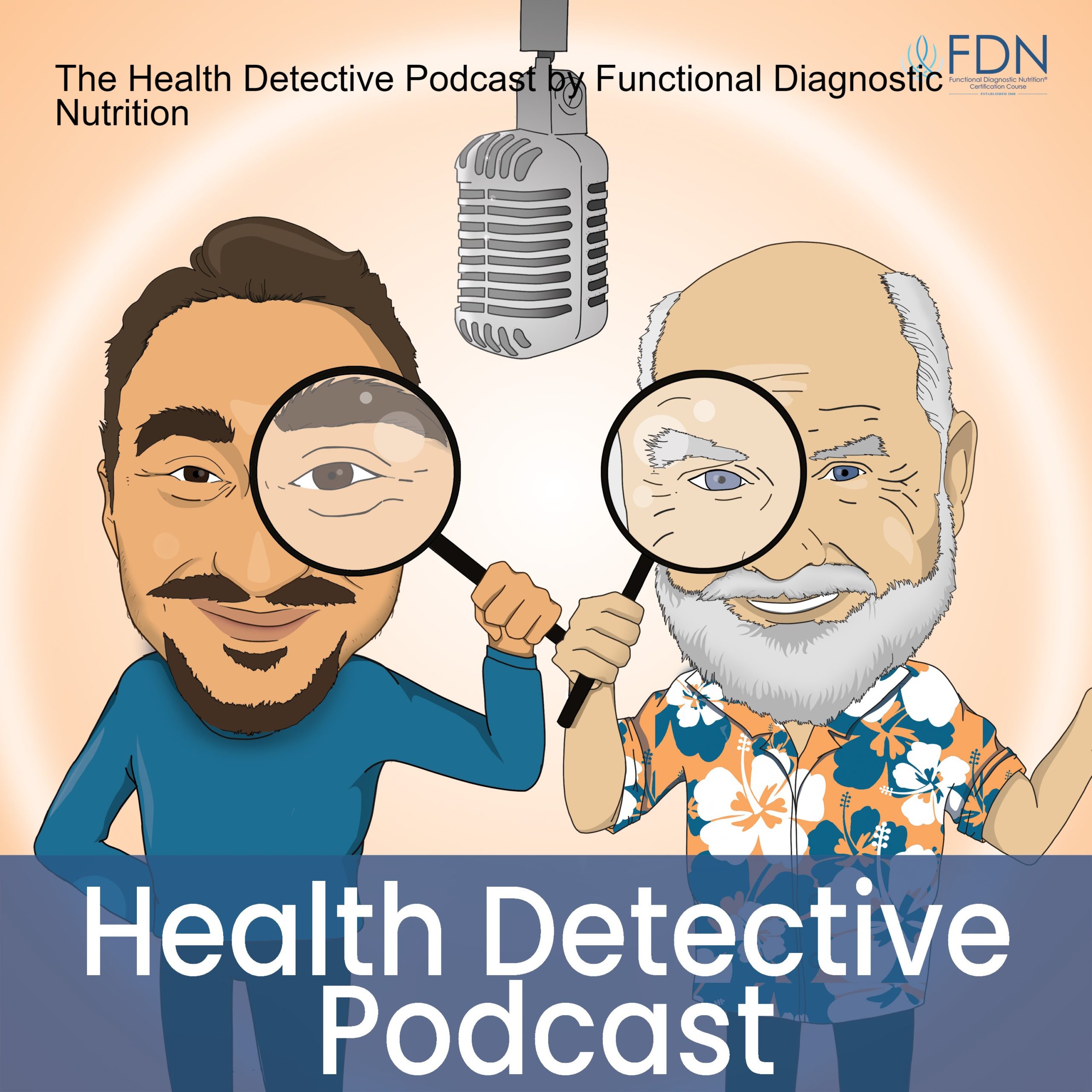 Guest Appearance On The Health Detective Podcast